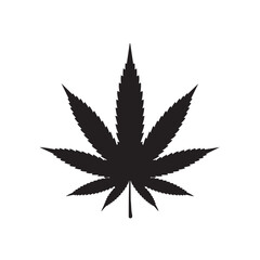 Silhouette of a seven pointed leaf isolated against white background