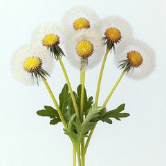 Cluster of six delicate dandelion seed heads with yellow centers, slender green stems and leaves, evoking a light, airy, whimsical mood