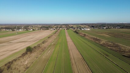 Spring farmland landscape with growing crops and soil