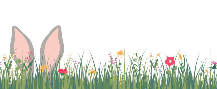 Horizontal seamless banner with a rabbit's ears in grass. Easter spring floral backdrop. Vector illustration isolated on a white background