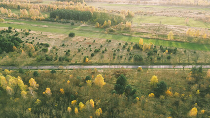 Fototapeta premium Journey by car on straight road in fall