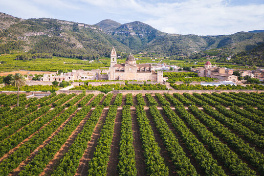 Monastery in the center of Simat de la Valldigna