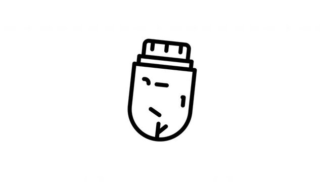 USB animated icon