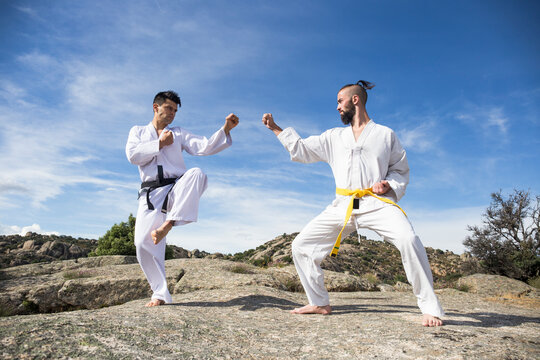 Men doing martial arts poses