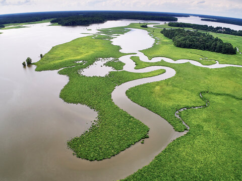 USA, Virginia, Marshes of the Chickahominy River