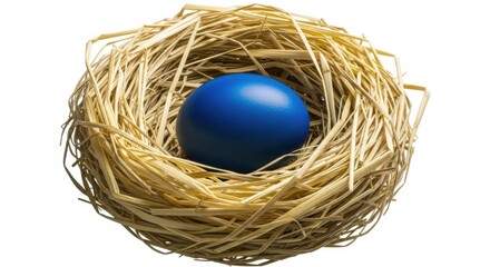 Bright Blue Egg in Nest on White Background