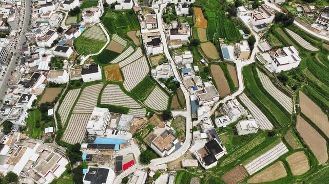 Aerial View of Residential Buildings and Agricultural Farmland with Green Fields