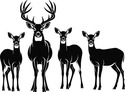  Deer family silhouette with buck and three does, black and white vector wildlife graphic, isolated forest animals for nature designs,