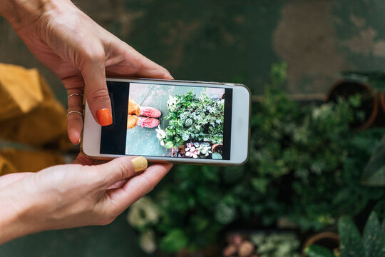 Close-up of woman taking smartphone picture of plants