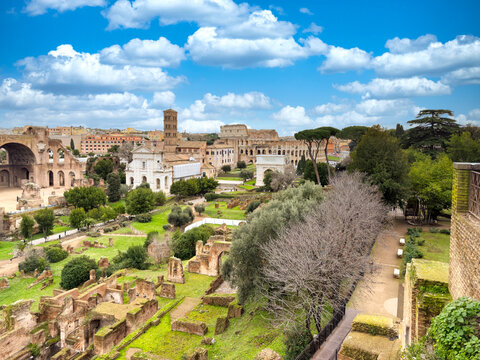 Panoramablick &uuml;ber das Forum Romanum mit Maxentiusbasilika und Kolosseum