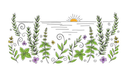 Watercolor Illustration of Lavender Plants and Sun.