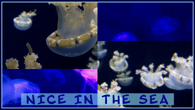 Match Two Sides Reversed Smooth Overlay