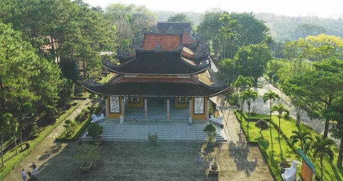 A yellow poinciana tree blooms brilliantly next to a temple. The tree is native to Brazil and also grows in Bao Loc, Vietnam