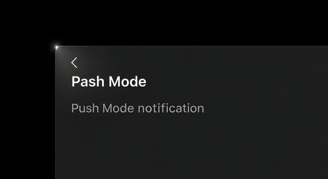 Mobile application settings with dark grey minimalist design showing Pash Mode notification for digital interface