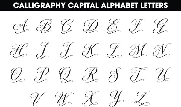 Elegant calligraphy capital alphabet letters, Fine handwritten script font with graceful swashes and smooth flowing strokes, Classic cursive uppercase typeface for wedding, luxury branding, and invita