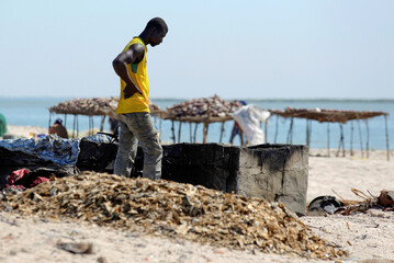 Le village de pêcheurs de Djifer au Sénégal © PPJ
