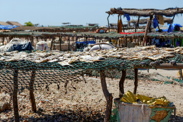 Séchage du poisson dans un village de pêcheurs au Sénégal © PPJ