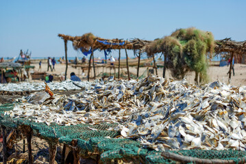 Séchage du poisson dans un village de pêcheurs au Sénégal © PPJ