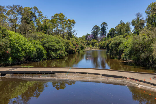 Parramatta park river weir upstream