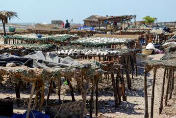Séchage du poisson dans un village de pêcheurs au Sénégal © PPJ