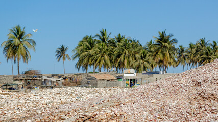 Colline de coquillages près du village de Djifer au Sénégal © PPJ