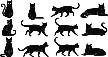 Black cat silhouette vector illustration, feline poses collection, sitting walking standing lying designs, decorative animal artwork, abstract pet motif © Roisul