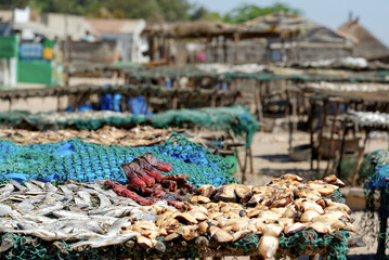 Séchage du poisson dans un village de pêcheurs au Sénégal © PPJ