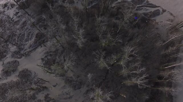 Levee Breach On The White River, Rushing Flash Floods In Pacific, Washington, USA. Aerial Topdown Shot