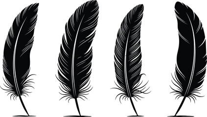 Black feather silhouette vector illustrations, stylized bird feathers, creative art designs, nature inspired graphics, tattoo elements, logo inspiration © Roisul