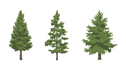 set of green trees isolated