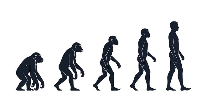 Human Evolution Theory Silhouette Sequence from Ape to Man