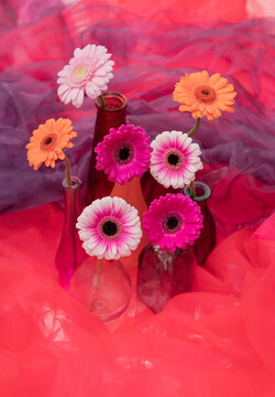 Colorful gerbera daisy flowers arranged in glass bottles with vibrant fabric backdrop