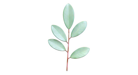 Obraz premium Green Branch with Oval Leaves