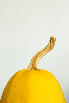 Close-up of spaghetti squash against white background