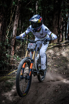 2026 Red Bull Hardline Tasmania - Seeding