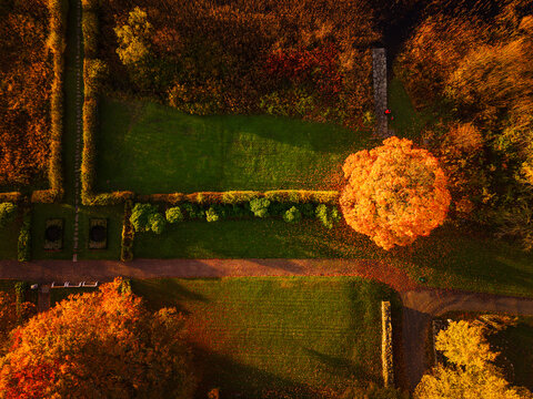 Aerial view of beautiful back yard in autumn