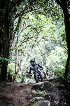 2026 Red Bull Hardline Tasmania - Seeding