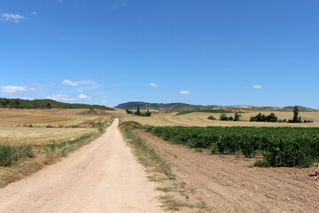 Obraz premium Dirt path with wheat fields on both sides on the way to Los Arcos on Camino de Santiago Frances in Spain July 2024