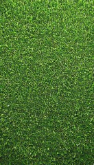 Obraz premium Vibrant and Lush Natural Grass Texture with a Soft Surface and High-Precision Seamless View