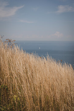 View of dry grass with sea in background against sky