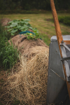 Wheelbarrow near heap of hay in farm
