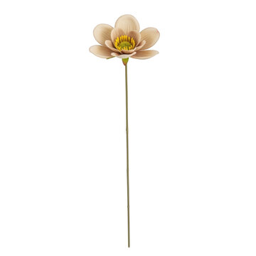 A single delicate white flower with a long stem against a white background isolated on transparent background