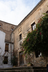 Fototapeta premium old house in the village