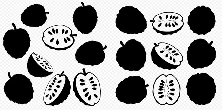 Monk Fruit Silhouettes: Whole and Halved Luo Han Guo, Healthy Sweetener Vector Illustration.