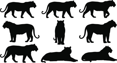 Black big cat silhouette illustrations in diverse poses, standing, walking, lying down, front-facing feline artwork perfect for wildlife, animal design, decoration, and stock assets © MdAzizulHaque