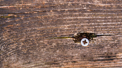 Weathered Wood Textured Abstract Background Design