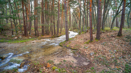 Footpath of Las Pesquer&iacute;as, Sierra de Guadarrama National Park, Segovia, Spain, Europe