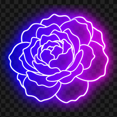 Obraz premium Neon Rose Flower Glowing Illustration Design Element