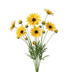 A vibrant bouquet of yellow flowers with delicate petals and green stems isolated on transparent background
