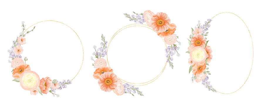 Golden circle and oval frames set with Spring Flowers. Ranunculus, Iceland Poppies, Freesia and Snow Willow Branches. Hand painted botanical illustration isolated on a white background. Floral art for
